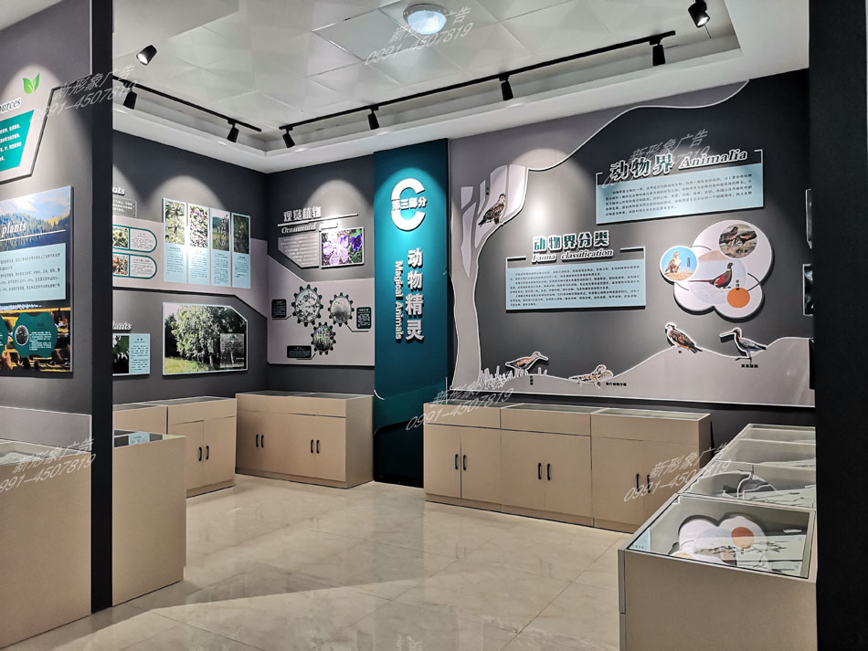 尼勒克县野生动植物展馆设计制作