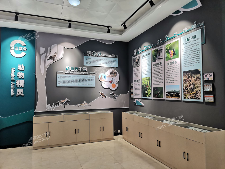 研学馆动物精灵展厅设计制作