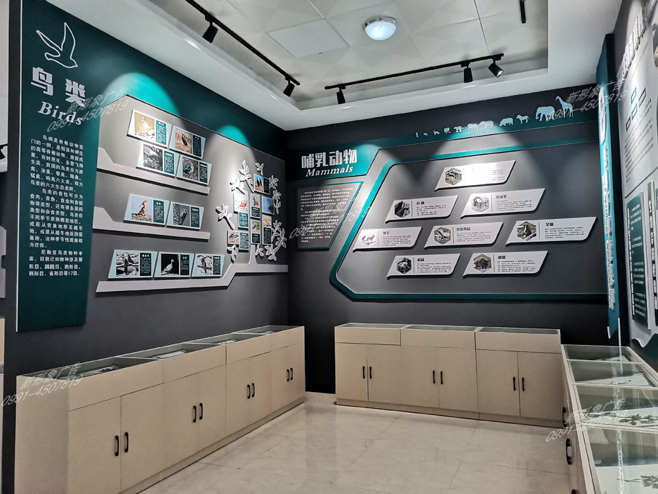 研学馆鸟类、哺乳动物展厅设计制作
